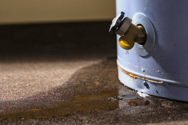 Best Professional water damage repair  in Cocoa West, FL