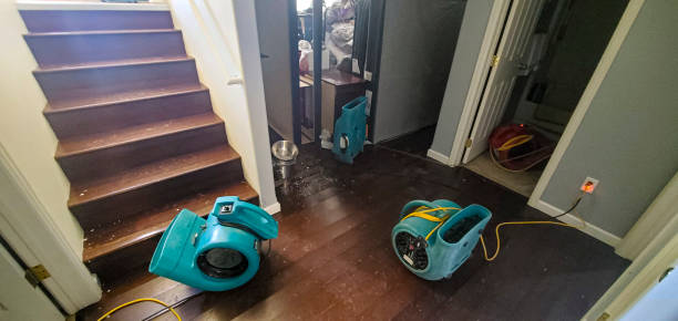 Best Water damage restoration company  in Cocoa West, FL