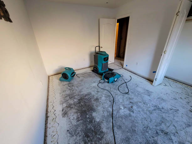 Best Ceiling water damage repair  in Cocoa West, FL