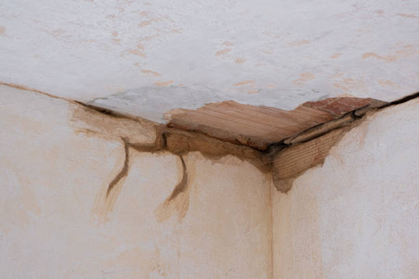  Cocoa West, FL Water damage restoration Pros