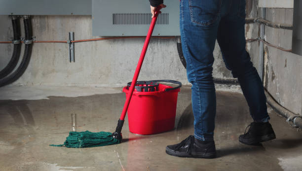 Best Residential water damage restoration  in Cocoa West, FL
