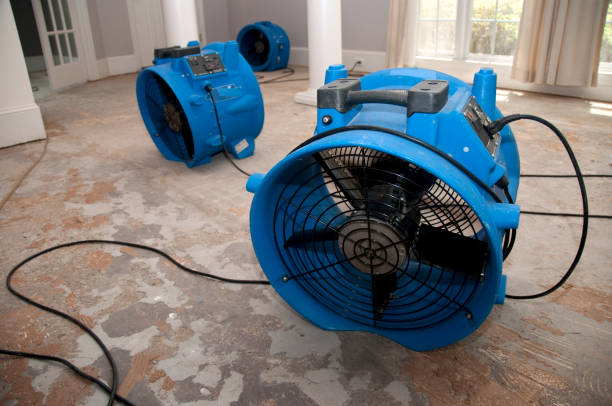 Best Water damage restoration near me  in Cocoa West, FL