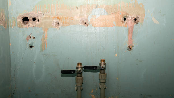 Best Water damage restoration near me  in Cocoa West, FL