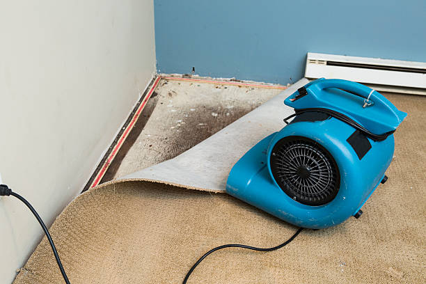 Best 24-hour water damage restoration  in Cocoa West, FL